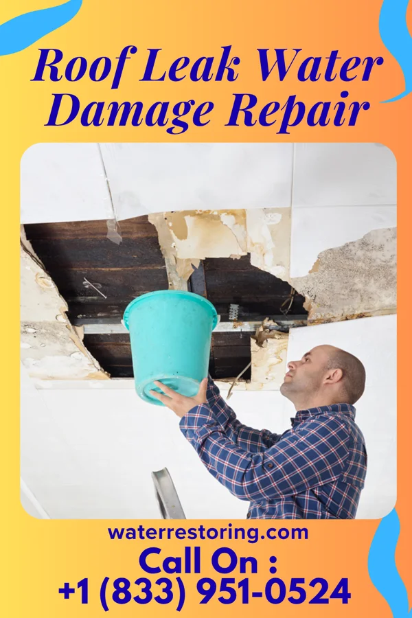 Roof Leak Water Damage Repair in Mammoth Lakes, CA